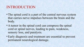 INTRODUCTION
•The spinal cord is a part of the central nervous system
that carries nerve impulses between the brain and the
body.
•A tumor in the spinal cord can compress the spinal
cord or spinal nerves, leading to pain, weakness,
sensory loss, and paralysis.
•Early diagnosis and treatment are essential to prevent
permanent neurological damage.
 