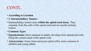 CONTI..
• According to Location
• 1. Intramedullary Tumors
• Intramedullary tumors arise within the spinal cord tissue. They
originate from the cells of the spinal cord and are usually primary
tumors.
• Common Types
• Ependymoma: Most common in adults; develops from ependymal cells
lining the central canal of the spinal cord.
• Astrocytoma: Arises from astrocytes (glial cells); more common in
children and young adults.
 