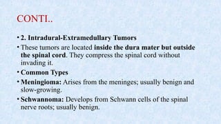 CONTI..
• 2. Intradural-Extramedullary Tumors
• These tumors are located inside the dura mater but outside
the spinal cord. They compress the spinal cord without
invading it.
• Common Types
• Meningioma: Arises from the meninges; usually benign and
slow-growing.
• Schwannoma: Develops from Schwann cells of the spinal
nerve roots; usually benign.
 