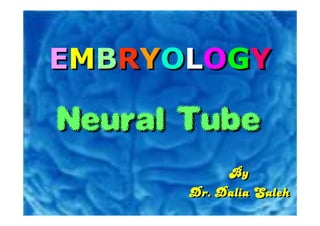 EMBRYOLOGY

Neural Tube
           By
      Dr. Dalia Saleh
 