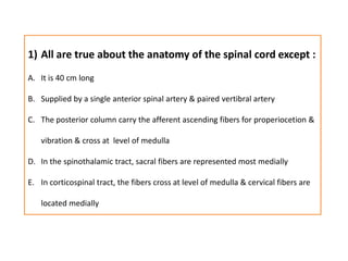 All are true about the anatomy of the spinal cord except :It is 40 cm longSupplied by a single anterior spinal artery & paired vertibral arteryThe posterior column carry the afferent ascending fibers for properiocetion & vibration & cross at  level of medullaIn the spinothalamic tract, sacral fibers are represented most mediallyIn corticospinal tract, the fibers cross at level of medulla & cervical fibers are located medially