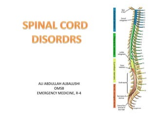 SPINAL CORD ,[object Object],DISORDRS,[object Object],ALI ABDULLAH ALBALUSHI,[object Object],OMSB,[object Object],EMERGENCY MEDICINE, R-4,[object Object]