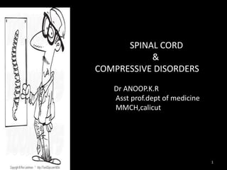 SPINAL CORD
&
COMPRESSIVE DISORDERS
Dr ANOOP.K.R
Asst prof.dept of medicine
MMCH,calicut
A
3/17/2016 6:31 PM 1
 
