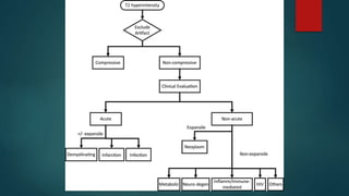 SPINAL CORD DISORDERS.pptx