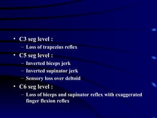 Inverted Reflex Spinal cord injury ; Spinal Cord disorders | PPT