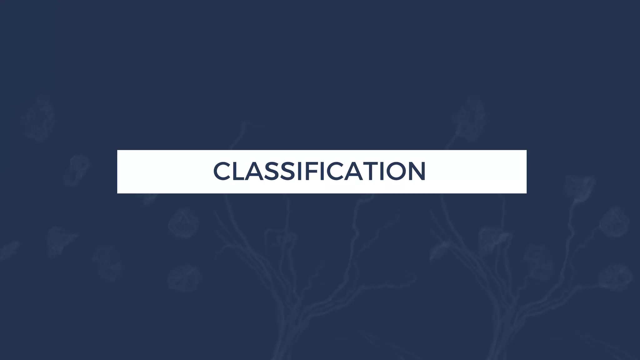 Spinal Cord Disease - Clinical Presentations and Management | PDF