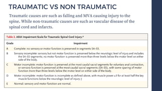 Spinal Cord Disease - Clinical Presentations and Management | PDF