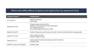 Spinal Cord Disease - Clinical Presentations and Management | PDF