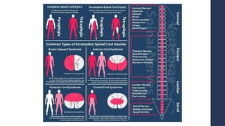 Spinal Cord Disease - Clinical Presentations and Management | PDF