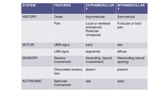 Spinal Cord Disease - Clinical Presentations and Management | PDF