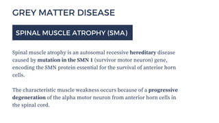 Spinal Cord Disease - Clinical Presentations and Management | PDF