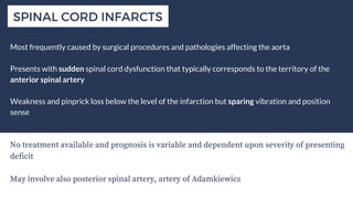 Spinal Cord Disease - Clinical Presentations and Management | PDF