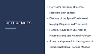 Spinal Cord Disease - Clinical Presentations and Management | PDF
