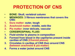 SPINAL CORD EXTERNAL FEATURES & BLOOD SUPPLY.ppt