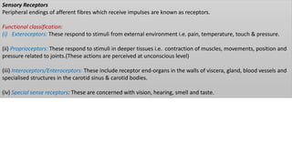 Sensory Receptors
Peripheral endings of afferent fibres which receive impulses are known as receptors.
Functional classification:
(i) Exteroceptors: These respond to stimuli from external environment i.e. pain, temperature, touch & pressure.
(ii) Proprioceptors: These respond to stimuli in deeper tissues i.e. contraction of muscles, movements, position and
pressure related to joints.(These actions are perceived at unconscious level)
(iii) Interoceptors/Enteroceptors: These include receptor end-organs in the walls of viscera, gland, blood vessels and
specialised structures in the carotid sinus & carotid bodies.
(iv) Special sense receptors: These are concerned with vision, hearing, smell and taste.
 