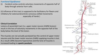 Functional Significance
(i) Cerebral cortex controls voluntary movements of opposite half of
body through anterior horn cells.
(ii) Influence of this tract is supposed to be facilitatory for flexors and
inhibitory for extensors(Controls conscious skilled movements
especially of hands )
Clinical Correlation
Lesions of pyramidal tract (i.e. upper motor neuron (UMN) lesions)
result in the loss of voluntary movements in the opposite half of the
body below the level of the lesion.
The muscles are not actually paralyzed but the control of upper motor
neurons and the lower motor neurons (LMN) supplying muscles is lost.
As a result LMNs become hyperactive and the tone of muscles is
increased leading to spastic paralysis.
 