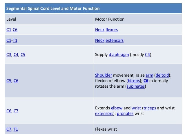 Spinal cord injuries