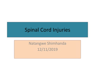Spinal Cord Injuries
Natangwe Shimhanda
12/11/2019
 