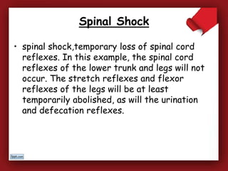 Spinal Shock
• spinal shock,temporary loss of spinal cord
reflexes. In this example, the spinal cord
reflexes of the lower trunk and legs will not
occur. The stretch reflexes and flexor
reflexes of the legs will be at least
temporarily abolished, as will the urination
and defecation reflexes.
 