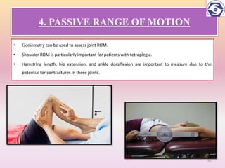 Hamstring Length Rom SPINAL CORD INJURIES AND PT REHABILITATION | PPTX