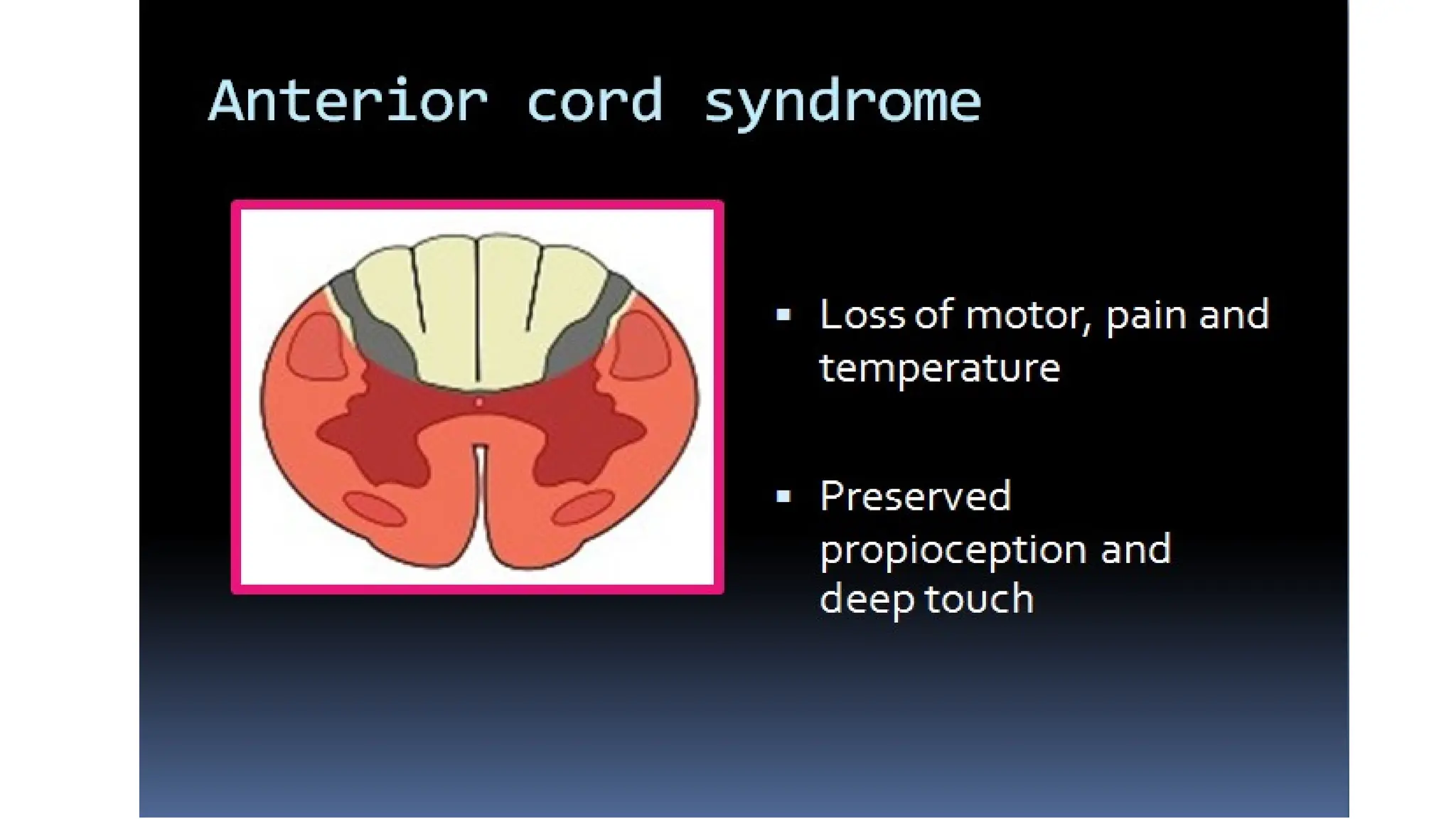 gross anatomy of spinal cord injuries neuroanatomy | PPT