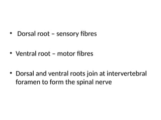 Sensorial Roots SPINAL CORD INJURIES 366777739373627.pptx
