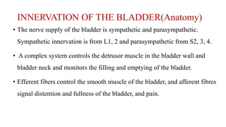 INNERVATION OF THE BLADDER(Anatomy)
• The nerve supply of the bladder is sympathetic and parasympathetic.
Sympathetic innervation is from L1, 2 and parasympathetic from S2, 3, 4.
• A complex system controls the detrusor muscle in the bladder wall and
bladder neck and monitors the filling and emptying of the bladder.
• Efferent fibers control the smooth muscle of the bladder, and afferent fibres
signal distention and fullness of the bladder, and pain.
 