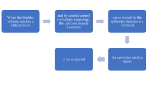When the bladder
volume reaches a
critical level
and by central control
(voluntary emptying),
the detrusor muscle
contracts
nerve stimuli to the
sphincter muscles are
inhibited
the sphincter urethra
opens
urine is ejected
 