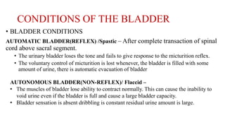 CONDITIONS OF THE BLADDER
• BLADDER CONDITIONS
AUTOMATIC BLADDER(REFLEX) /Spastic – After complete transaction of spinal
cord above sacral segment.
• The urinary bladder loses the tone and fails to give response to the micturition reflex.
• The voluntary control of micturition is lost whenever, the bladder is filled with some
amount of urine, there is automatic evacuation of bladder
AUTONOMOUS BLADDER(NON-REFLEX)/ Flaccid –
• The muscles of bladder lose ability to contract normally. This can cause the inability to
void urine even if the bladder is full and cause a large bladder capacity.
• Bladder sensation is absent dribbling is constant residual urine amount is large.
 