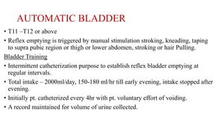 AUTOMATIC BLADDER
• T11 –T12 or above
• Reflex emptying is triggered by manual stimulation stroking, kneading, taping
to supra pubic region or thigh or lower abdomen, stroking or hair Pulling.
Bladder Training
• Intermittent catheterization purpose to establish reflex bladder emptying at
regular intervals.
• Total intake – 2000ml/day, 150-180 ml/hr till early evening, intake stopped after
evening.
• Initially pt. catheterized every 4hr with pt. voluntary effort of voiding.
• A record maintained for volume of urine collected.
 