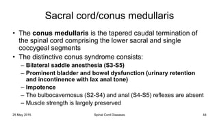 Spinal cord injuries and diseases | PPTX