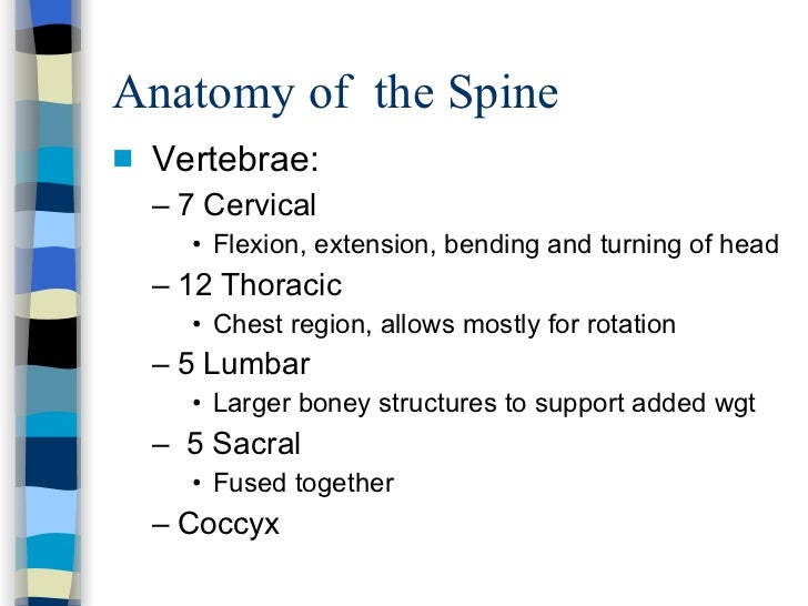 Spinal cord injury