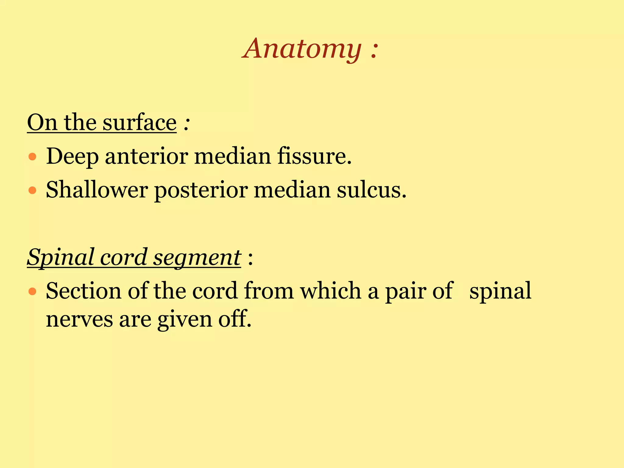 Spinal cord injury | PPTX