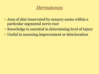 Dermatomes
 Area of skin innervated by sensory axons within a
particular segmental nerve root
 Knowledge is essential in determining level of injury
 Useful in assessing improvement or deterioration
 