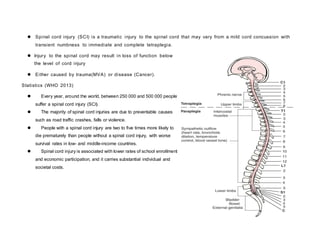  Spinal cord injury (SCI) is a traumatic injury to the spinal cord that may vary from a mild cord concussion with
transient numbness to immediate and complete tetraplegia.
 Injury to the spinal cord may result in loss of function below
the level of cord injury
 Either caused by trauma(MVA) or disease (Cancer).
Statistics (WHO 2013)
 Every year, around the world, between 250 000 and 500 000 people
suffer a spinal cord injury (SCI).
 The majority of spinal cord injuries are due to preventable causes
such as road traffic crashes, falls or violence.
 People with a spinal cord injury are two to five times more likely to
die prematurely than people without a spinal cord injury, with worse
survival rates in low- and middle-income countries.
 Spinal cord injury is associated with lower rates of school enrollment
and economic participation, and it carries substantial individual and
societal costs.
 