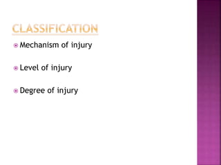  Mechanism of injury
 Level of injury
 Degree of injury
 