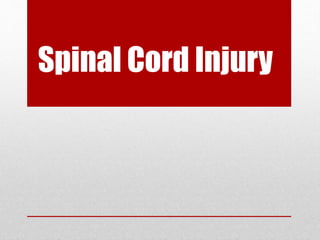 Spinal cord anatomy and injury in human beings | PPTX