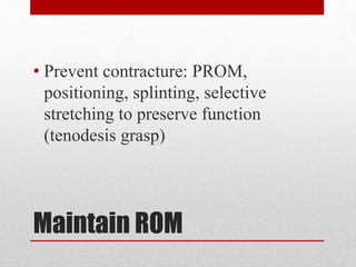 Prom Stretch R Hemi Spinal cord anatomy and injury in human beings | PPTX