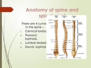Management of a patient with spine and spinal cord injury | PPTX