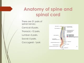 Management of a patient with spine and spinal cord injury | PPTX