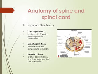Management of a patient with spine and spinal cord injury | PPTX