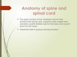 Management of a patient with spine and spinal cord injury | PPTX