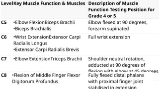 Spinal Cord Injury for frist step ortho.pptx