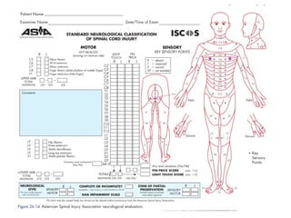 Spinal Cord Injury Lecture Presentation for Medical Students.