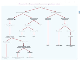 Spinal Cord Injury Lecture Presentation for Medical Students.