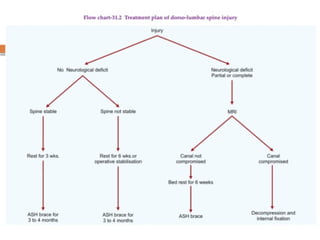 Spinal Cord Injury Lecture Presentation for Medical Students.