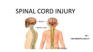 BY –
SHUBHRIMA KHAN
SPINAL CORD INJURY
 
