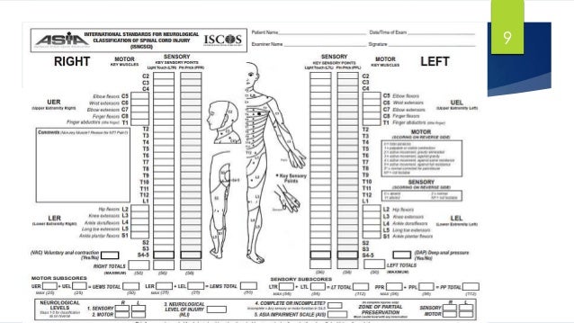 Image Result For Modified Manual Wheelchair Image Result For Modified Manual Wheelchair