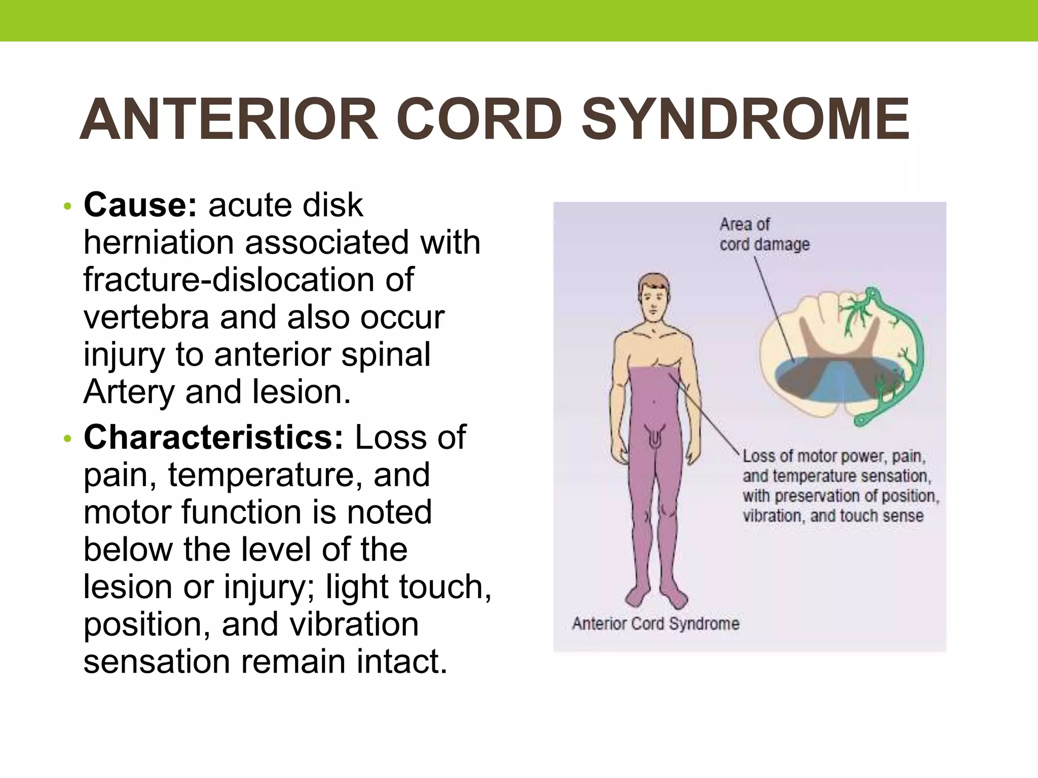 Spinal cord injury (SCI) | PPTX