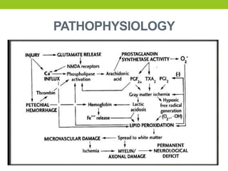 PATHOPHYSIOLOGY
 